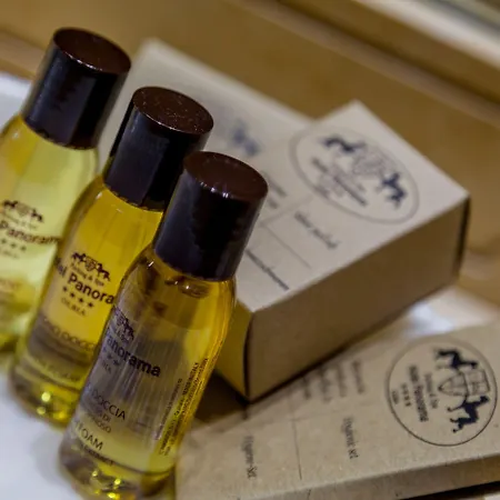 Panorama Отель Ольбия