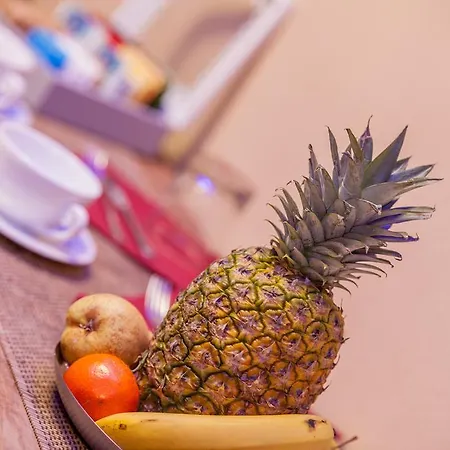 Panorama Ольбия